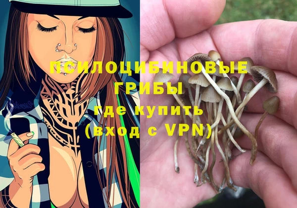 а пвп мука Кукмор