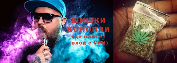 шишки Куйбышев