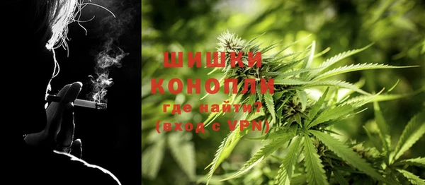 шишки Кулебаки