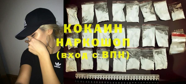 шишки Кулебаки