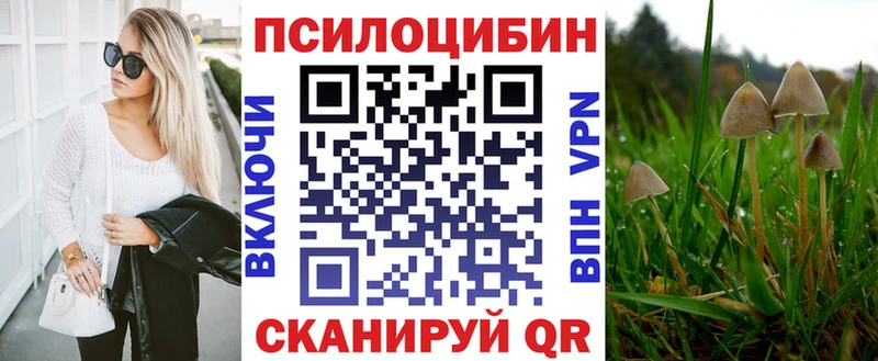 Галлюциногенные грибы GOLDEN TEACHER  купить наркотики цена  Никольское 
