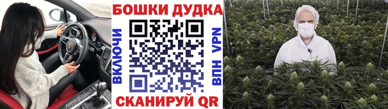 blacksprut вход  Никольское  Бошки марихуана семена 